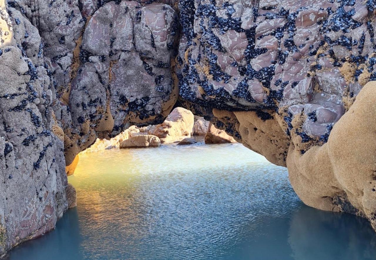 Rockpool - Bude Εξωτερικό φωτογραφία